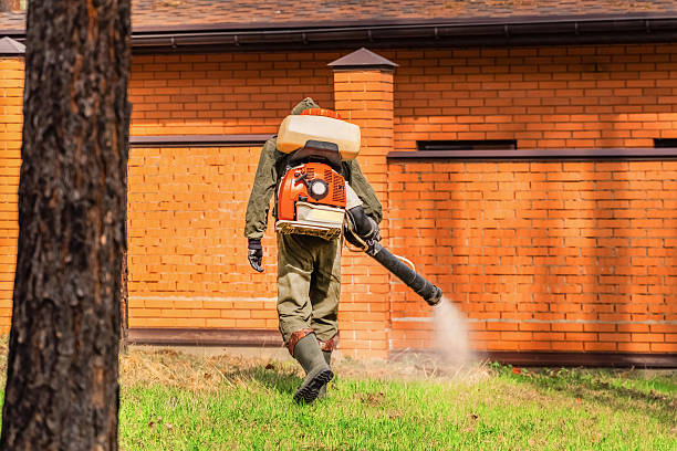 Bed Bug Clearance Verification and Documentation in South Chicago Heights